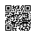 7173339 Decal-seat, "polaris"