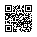 7176477 Decal-"800 Efi", P.white ([ab]