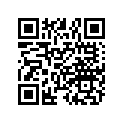 7176617 Decal-tunnel, "155", Rh