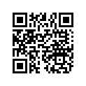 7181388 DECAL-SIDE,1000 XP,LH
