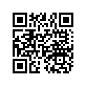 7186810 DECAL-SIDE,XP 1000,LH