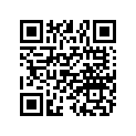 7193572 DECAL-RR.FNDR,UPR,DYNAMIX,LH