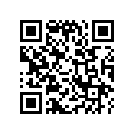 71943-HE0-000ZA Bar, l. rr. *r110*
