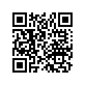 72995-1104 SEGMENT,SWING
