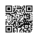 73A-11931-00-00 LEVER