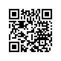 7500937000030 TL RIM 3,5X17