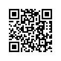 75032007000 HALF-WASHER                 07