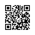 75034019100 SHIFTRAIL                   07