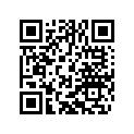 75041077040 WASHER