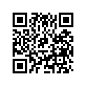 7517028 SHIM 8,1X23X0,2