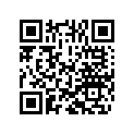 7517060 SHIM 8,1X22X0,3