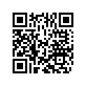 7517082 SHIM 8,1X23X0,1