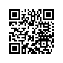 76011067100 BLANK KEY 690