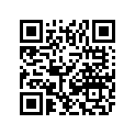 7611-687 DECAL,FRT SPAR-ORN LH