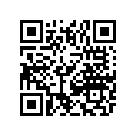 7611-765 DECAL,FRT SPAR-BLK LH