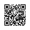7611-813 DECAL,EFI DIAGNOSTIC CODES-07