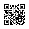 76300-HL4-F01ZA FOOT WELL, RR. *NH1*