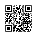 77003113200 REINFORCING B. 250 SX-F  07