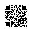 77033001000 MAIN SHAFT CPL. T=13        05