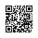 77033003200 SLIDING GEAR  3./4.G. Z=17/19