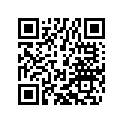 77033101000 MAIN SHAFT CPL. Z=13 B13