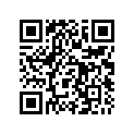 77033102000 SOLID GEAR 2ND G.17-T2B17