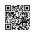 7707167 S-screw M6x75x22-sw8-8.8-zns3