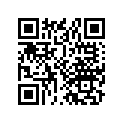 77100-241-000-A Seat, dual *nh1l*