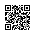 77110070000 RIM 2,15X19 EXCEL         11