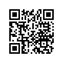 77200-455-670-A Seat,double