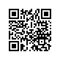 77200-456-670-A Seat,double