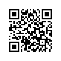 77204066000 CHAIN SLIDING PROTECTION