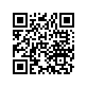 77211-388-300 Rubber,seal