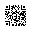 7721133 Key-1/4x3/16x1.75"
