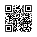 77221-041-672ZB Brkt,set*g-31*