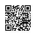 7728610 Rim 17'x3'