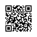 77532011000 LINING DISC
