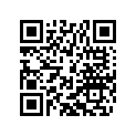 77733303000 SLIDING GEAR 3./4.G Z=17/19