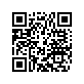 78030033000 PISTON PIN                  08
