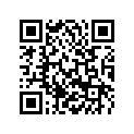 78111079000 WIR.HARN.LIGHT EFI KPL. EU 12