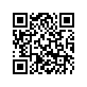 78933002000 SOLID GEAR 2.G.