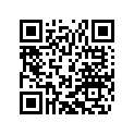 79105079100 Silencer