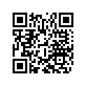 7910907000030 RIM 1,6X21 EXCEL SXS      08