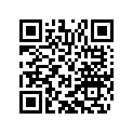 79135071044 Y-hose cpl.