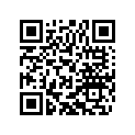 79405062030 WASHER