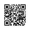 79532102030 Ramp insert 30°