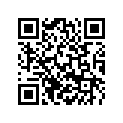 79532181000 Release ring