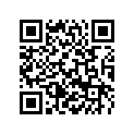 79608198018 Decal Set 250 EXC-F 2019
