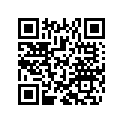 800029171 O-ring