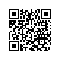 800031981 Rubber Band